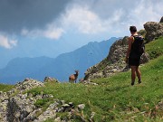 Pizzo dei Tre Signori (2554 m) dalla Val d’Inferno fiorita-24lu24 - fotogallery